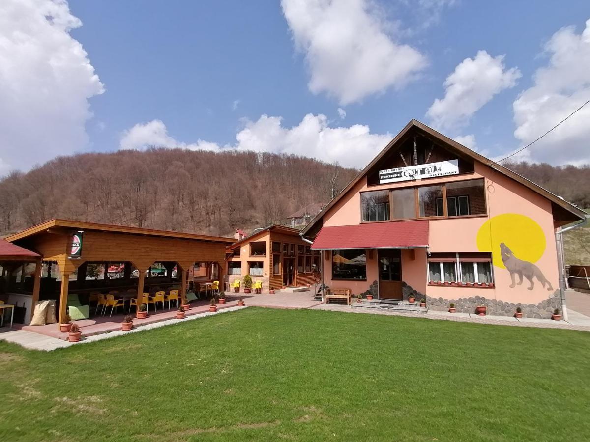 Pensiunea Colt Alb Băile Homorod Esterno foto