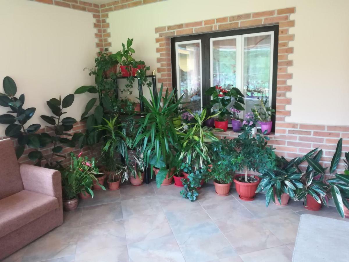 Pensiunea Colt Alb Băile Homorod Esterno foto
